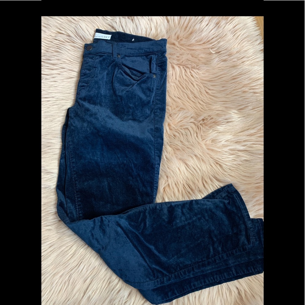 Blue velvet skinny  pant